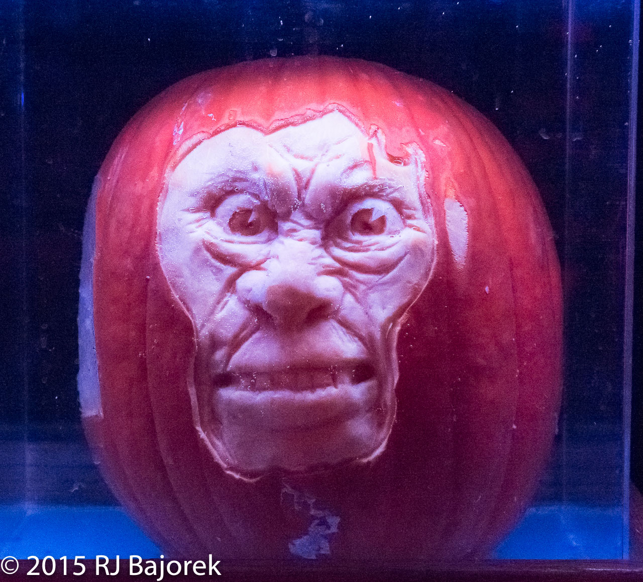 TheRise20151011-363