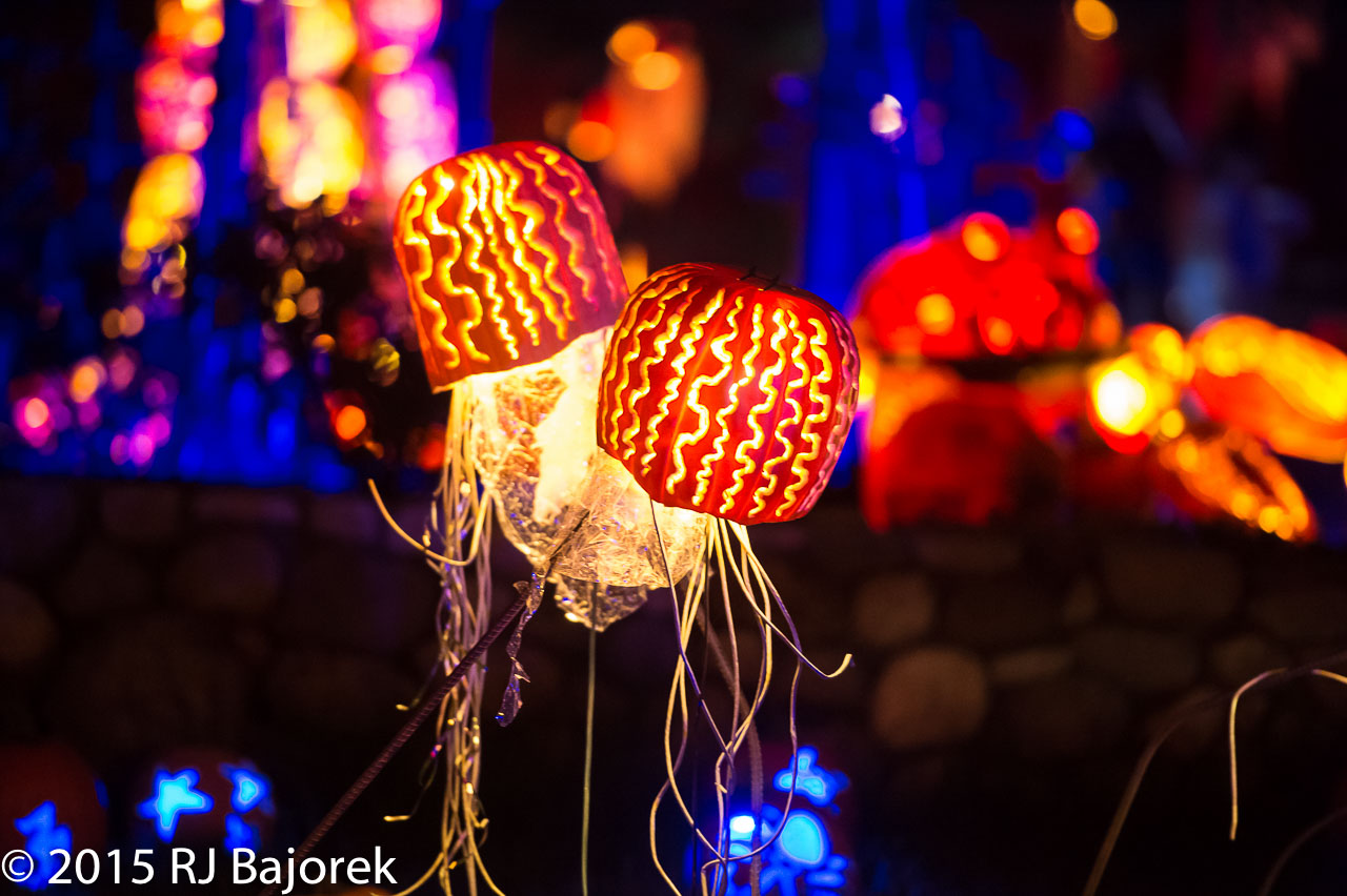 TheRise20151011-400