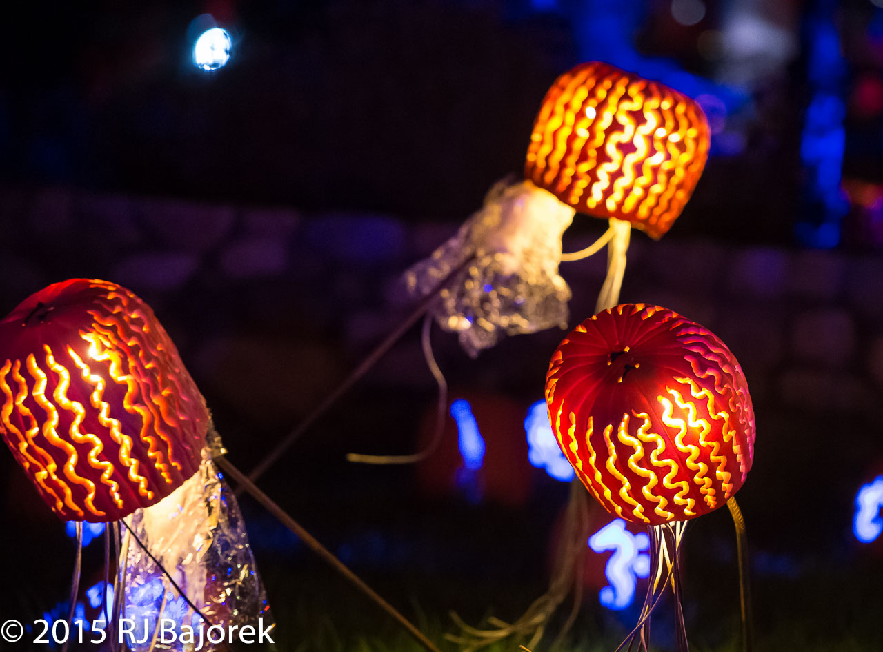 TheRise20151011-403