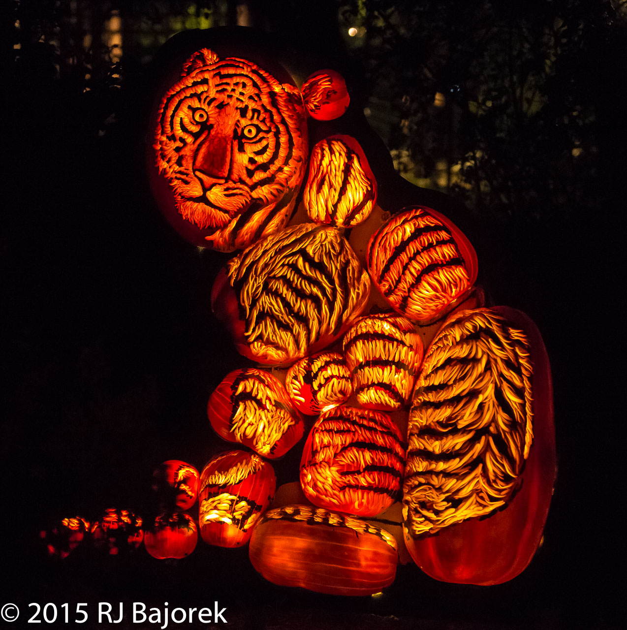 TheRise20151011-472